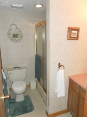 Lower level bathroom.