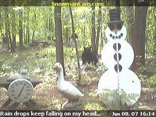 Michigan Black Bear visits the snowman.