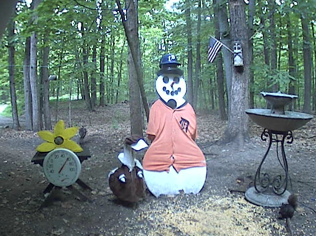 CLICK HERE FOR LARGER IMAGE. Current live image of the Snowman Cam Streaming Webcam in Gaylord Michigan.
