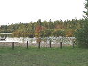 Beach area at Lake Elizabeth in Wilderness Valley Gaylord Michigan.