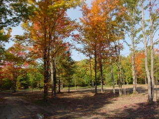 Fall view of the play area.
